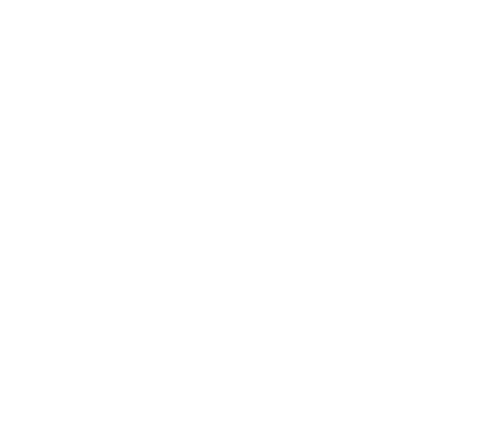 Ravensburg Towerstars